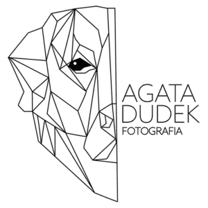 logo 1 1 logo 1 1